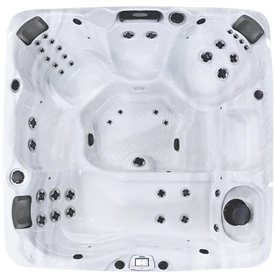 Avalon-X EC-840LX hot tubs for sale in Leesburg