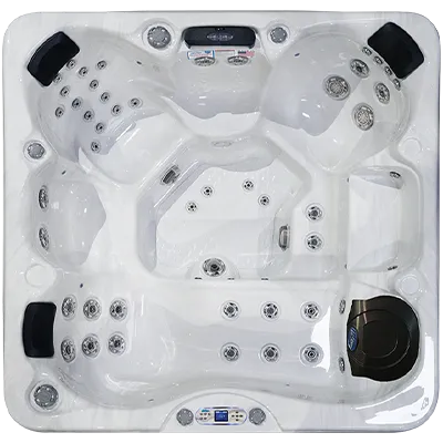 Avalon EC-849L hot tubs for sale in Leesburg