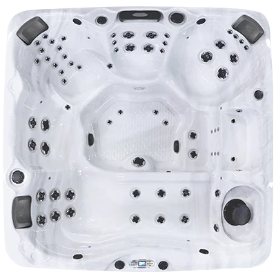 Avalon EC-867L hot tubs for sale in Leesburg