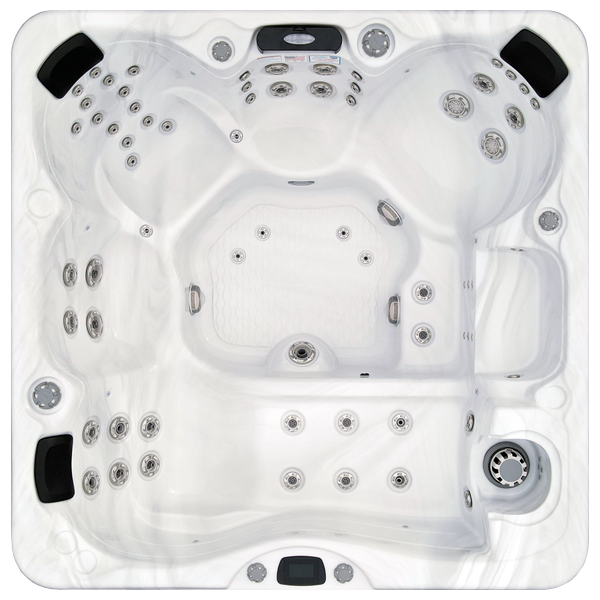 Avalon-X EC-867LX hot tubs for sale in Leesburg
